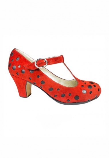 Zapatos de Flamenco