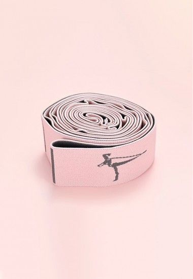 Banda Elástica de Secciones