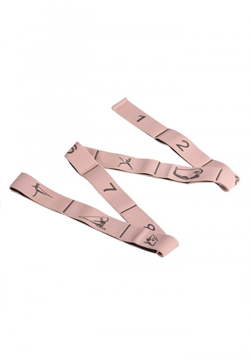 Banda Elástica de Secciones